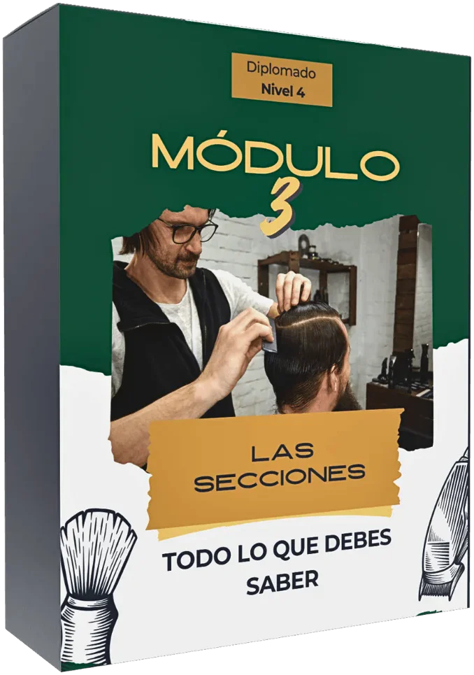 Módulo 3: Las secciones