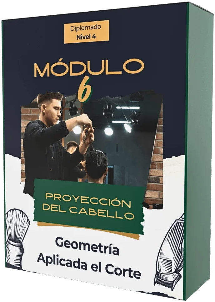 Módulo 6: Proyección del cabello