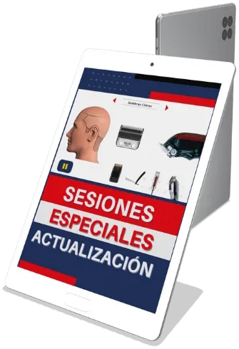 Sesiones especiales de actualización